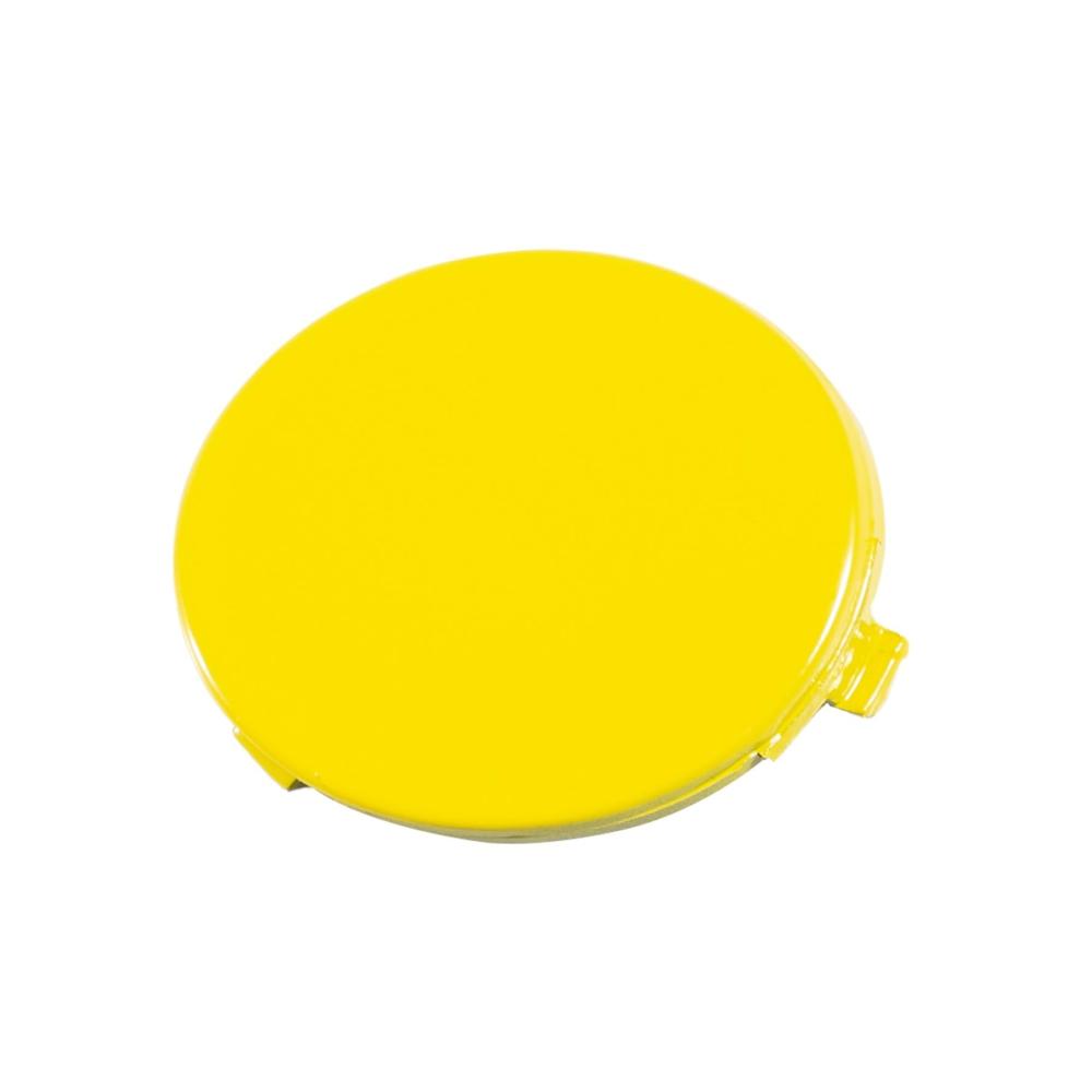 Yellow Passenger